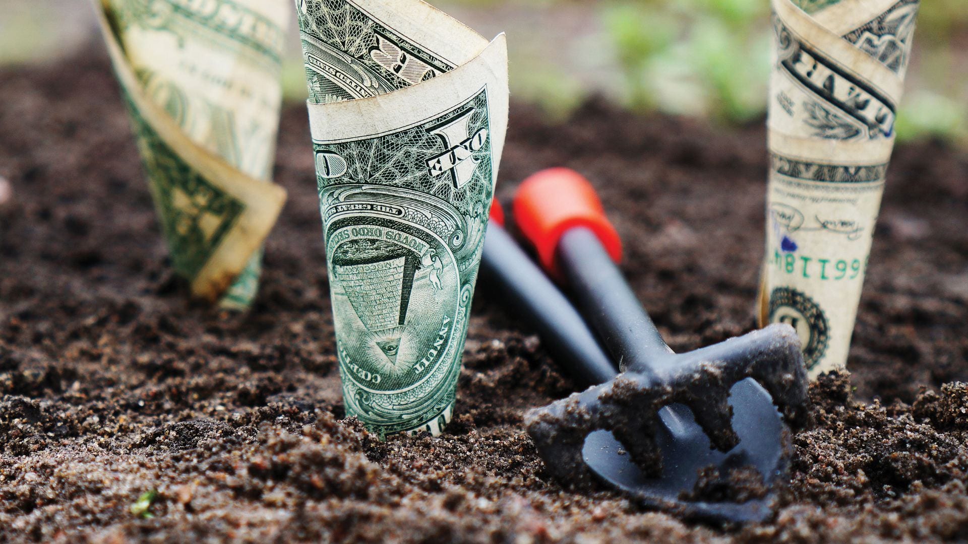 Dollar bills stuck in the ground, as if they are growing from the ground, next to a trowel