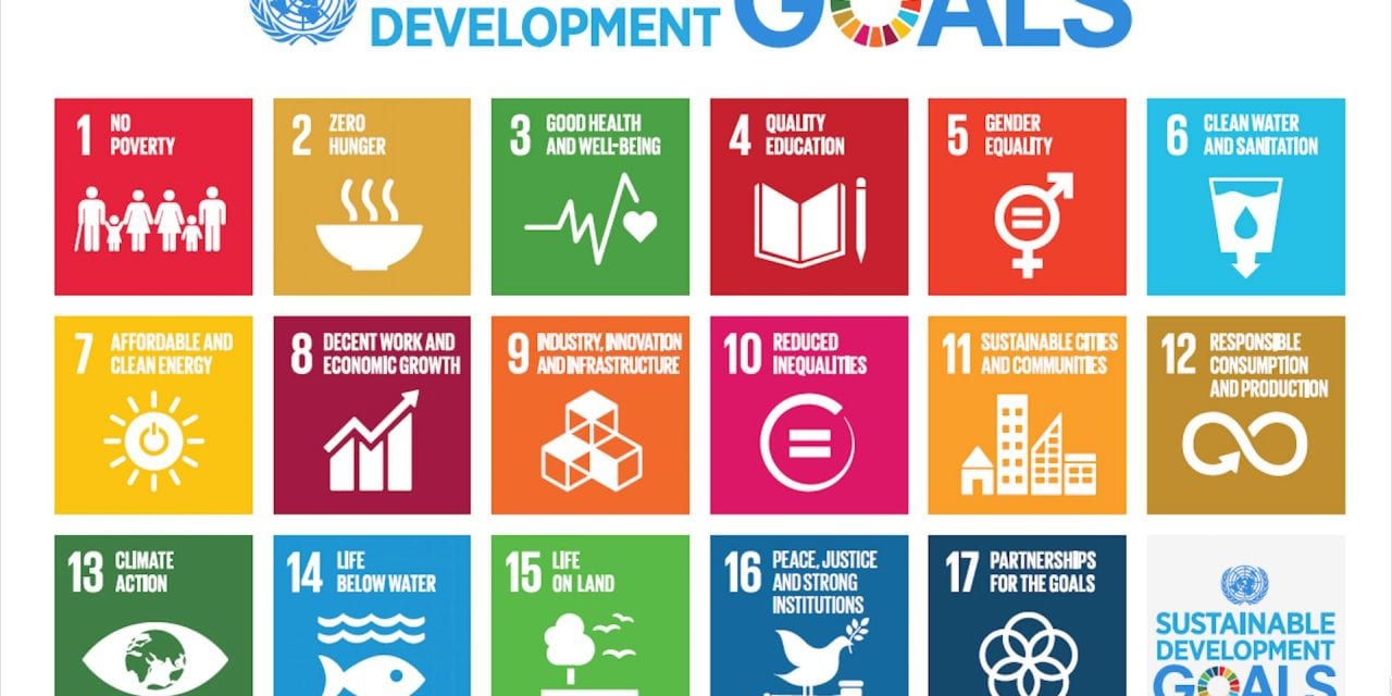 Checking In: Reviewing Progress in UNDP’s Development Goals