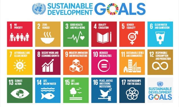 Checking In: Reviewing Progress in UNDP’s Development Goals