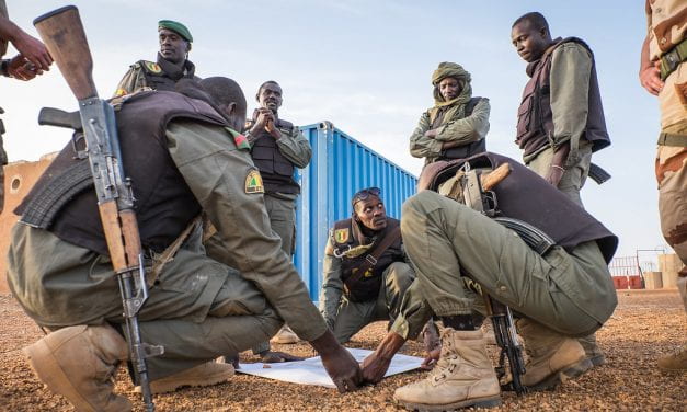 Evaluating Counterterrorist Efforts in Africa’s Sahel Region