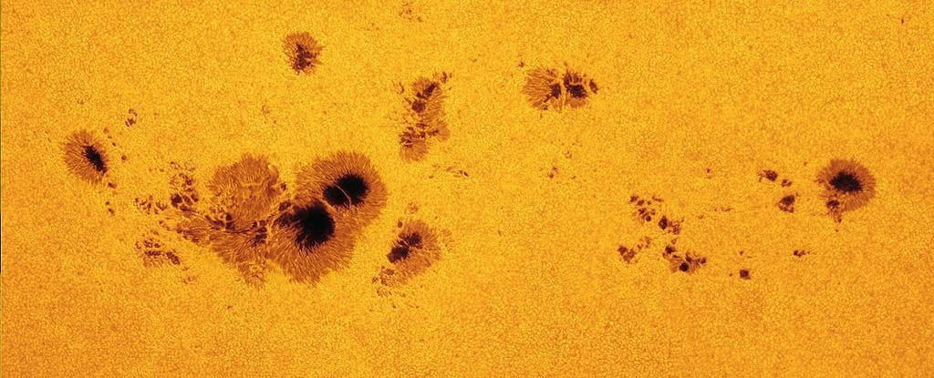Zoomed-in photo of the Sun. Black patches surrounded by brown regions dot a granulated yellow-orange background.